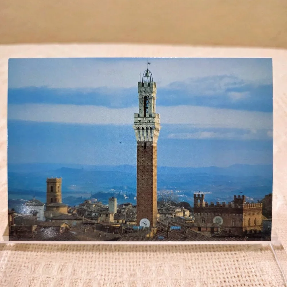 Vintage Veduta di Siena Basilica Domenico Federico Muzzi Italy Italian Postcard